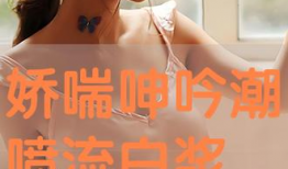 流白浆视频,传统工艺与现代技术的完美融合