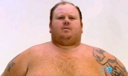 胖熊视频,趣味横生的动物世界之旅